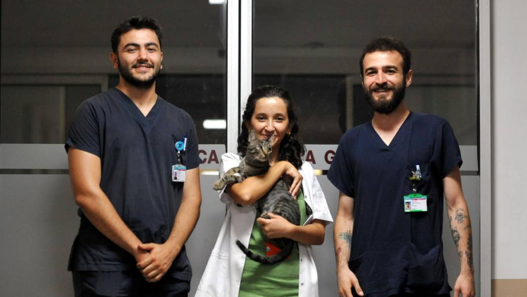 Kedi 'Ali Cabbar' hastaneye kendi başına gitti 5